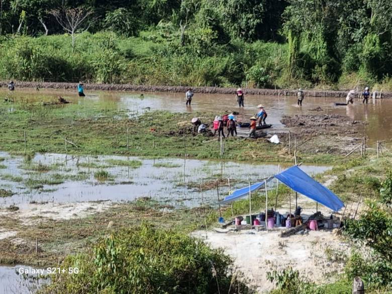 Bekerja Seperti Akar